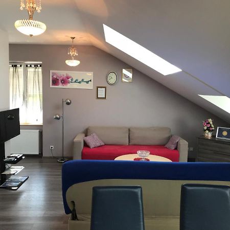 Rochire Location 1 Apartment Gerardmer Ngoại thất bức ảnh