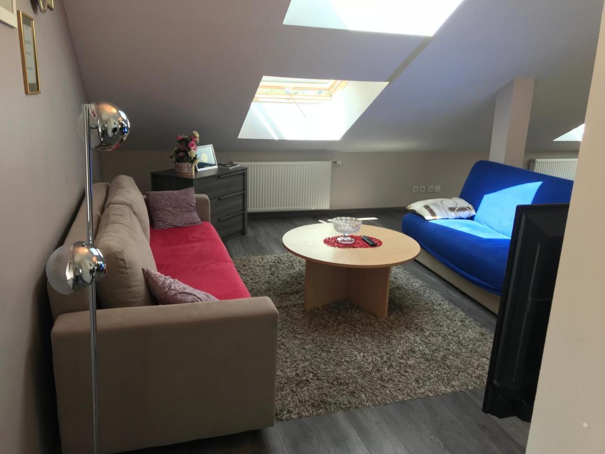 Rochire Location 1 Apartment Gerardmer Ngoại thất bức ảnh